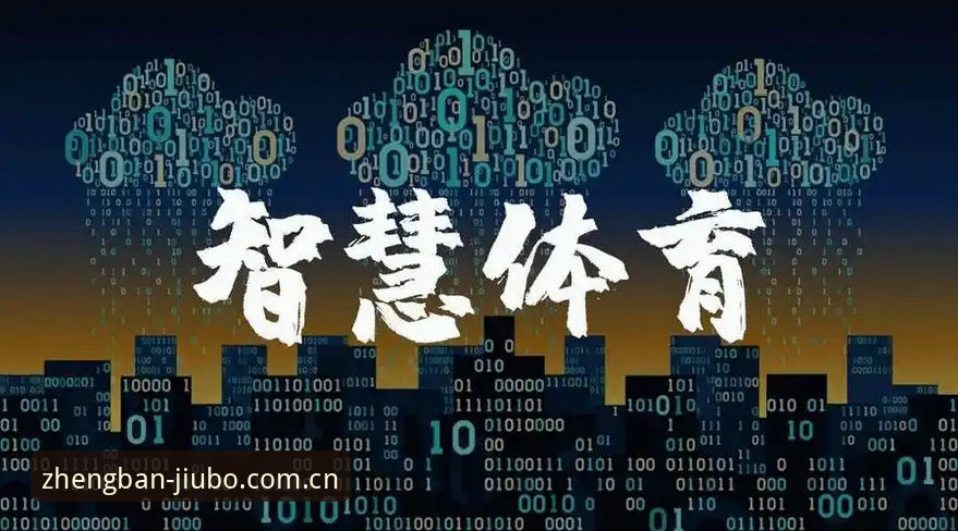 资深用户赵阳深度解析：从世界杯安保看赛事背后的国际协作智慧